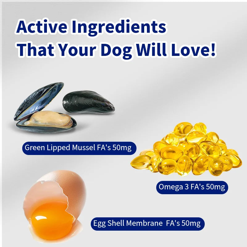 OEM Hip and Joint Supplement Dog Multivitamin Chew Treats for Dogs Hip and Joint Supplements Private Label Vitamins for Dogs